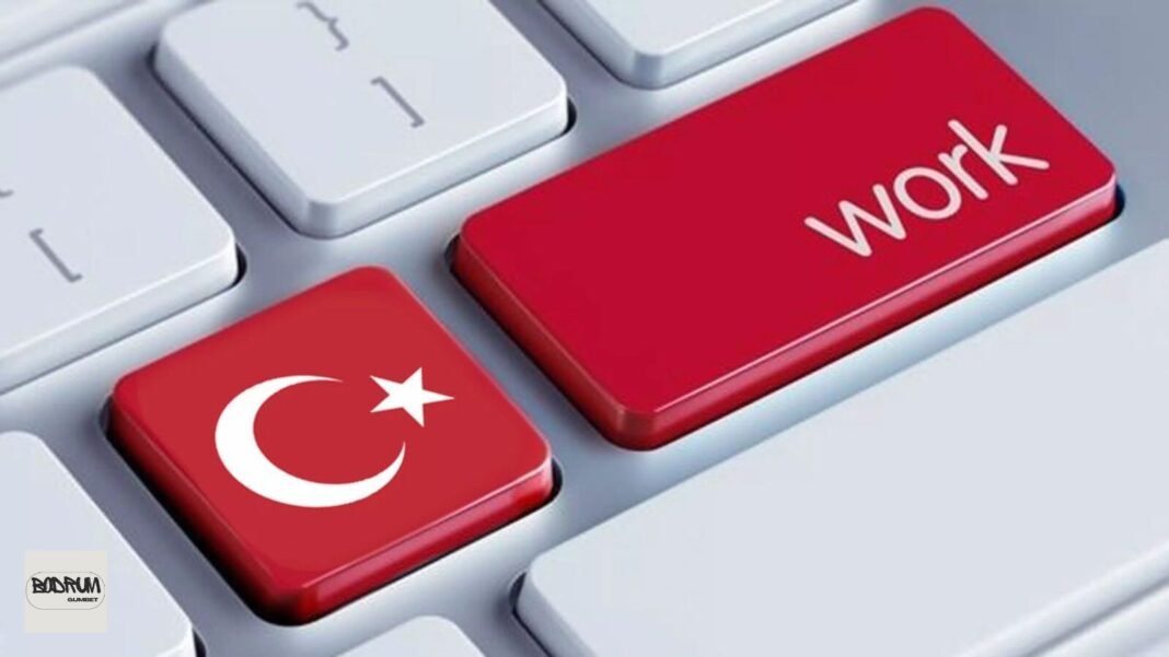 Turkish E-Visa Turkey Electronic Visa