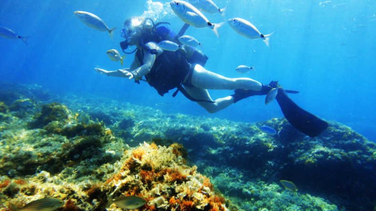 Scuba Diving in Gumbet, Bodrum (Best Diving Tours, Prices, Tips)